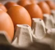 Escoamento da produção de ovos é prejudicada no RS